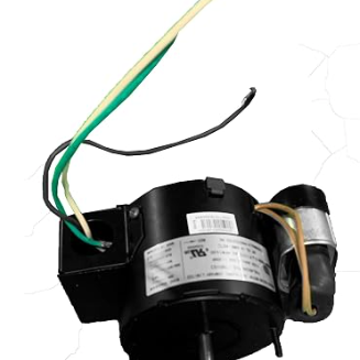 Replacement Motor
